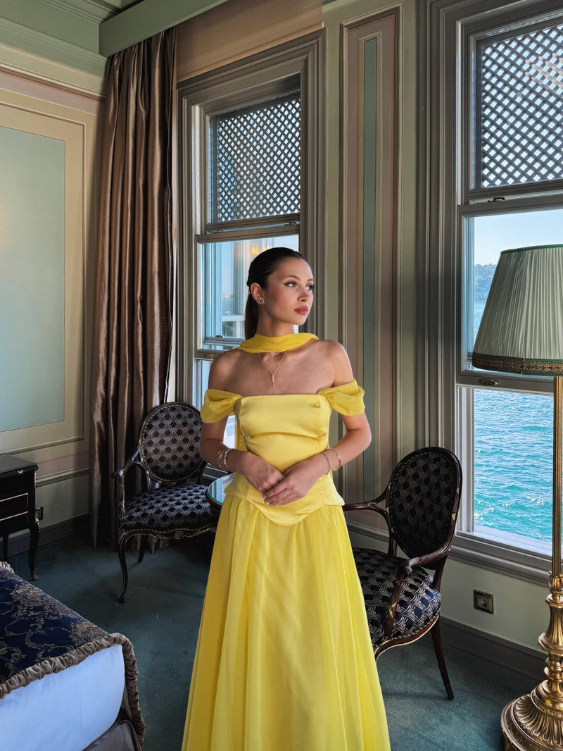 Disney Dress