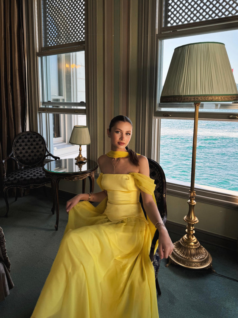 Disney Dress