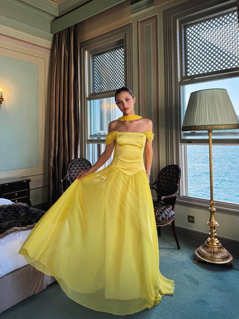 Disney Dress